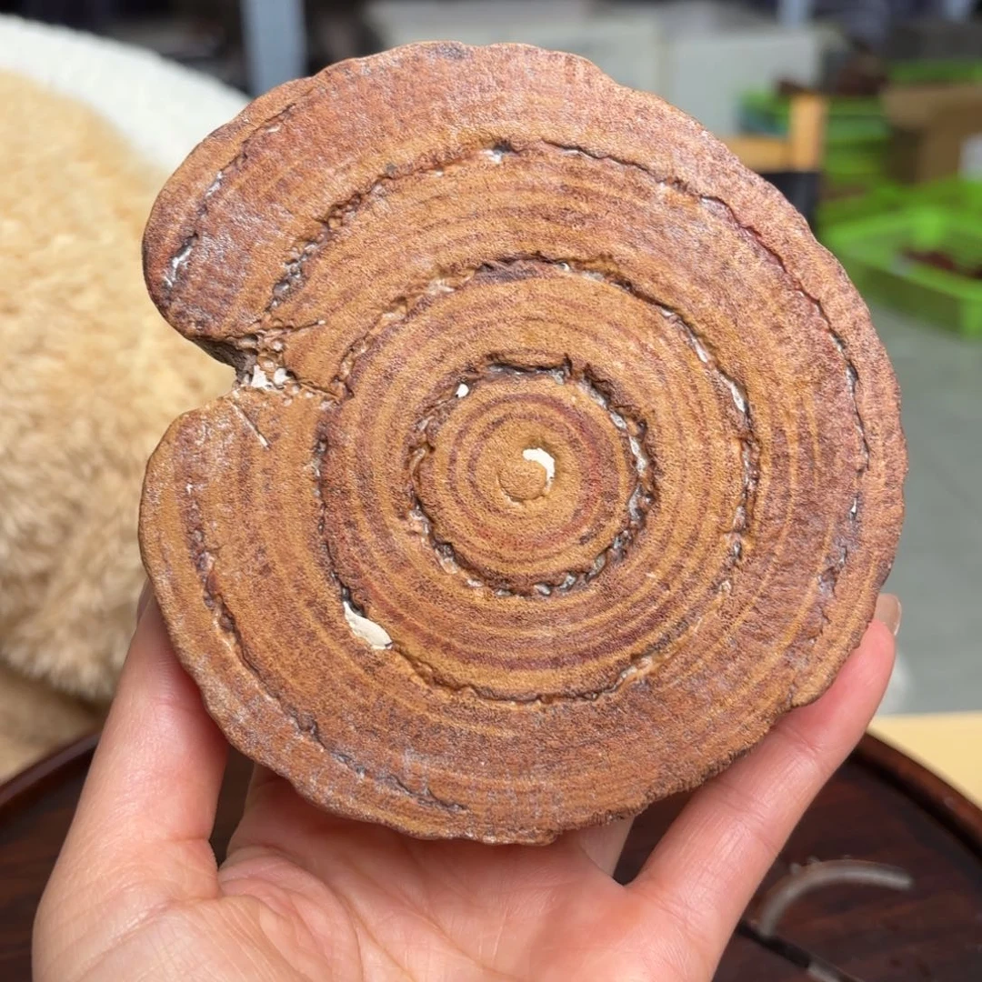 茶宠紫砂紫砂雕塑