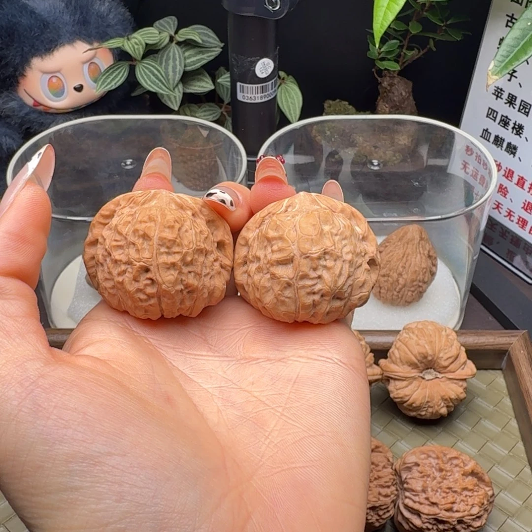 核桃全品南瓜40尺