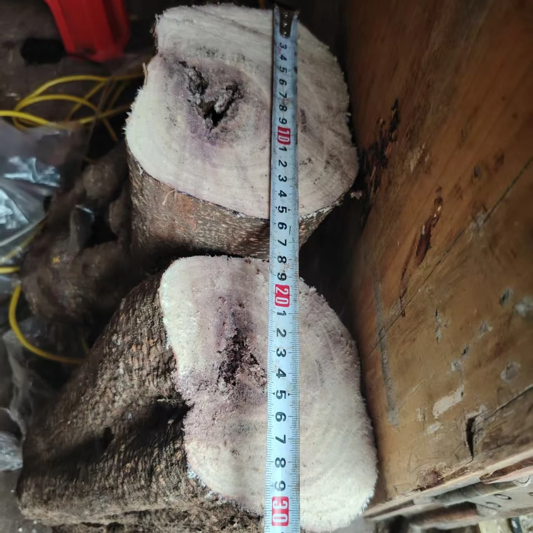 吹风藤  新鲜湿货