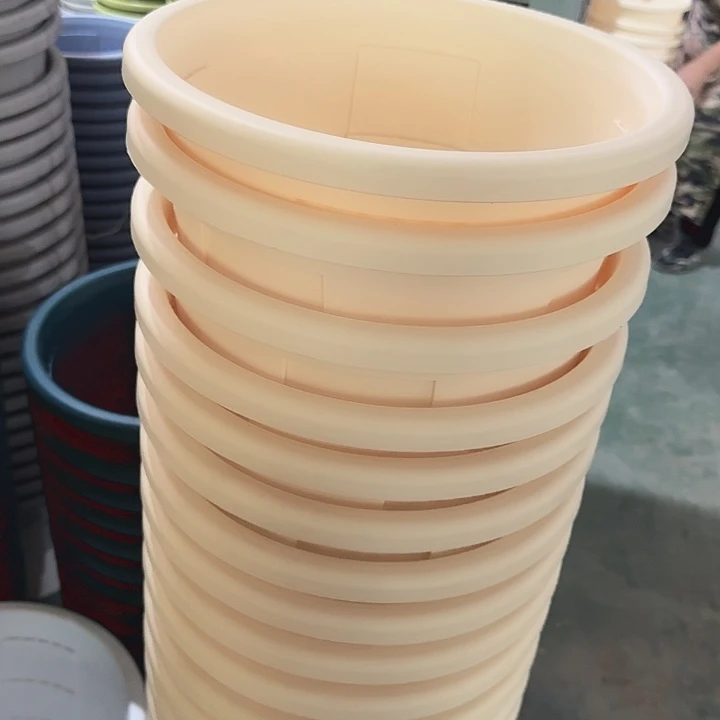测33口径5个无托米黄