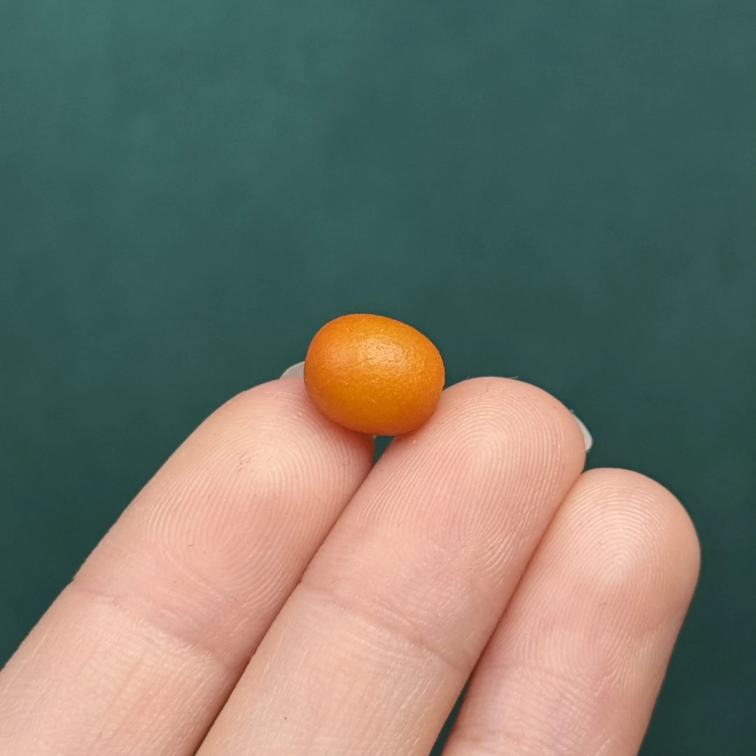 A8329天然原矿蜜蜡 老蜡枣珠8.4*10mm支持鉴定 假一罚十