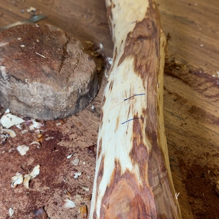 闲***事木海南，海北飞灰尘。甘受商于仪诳楚