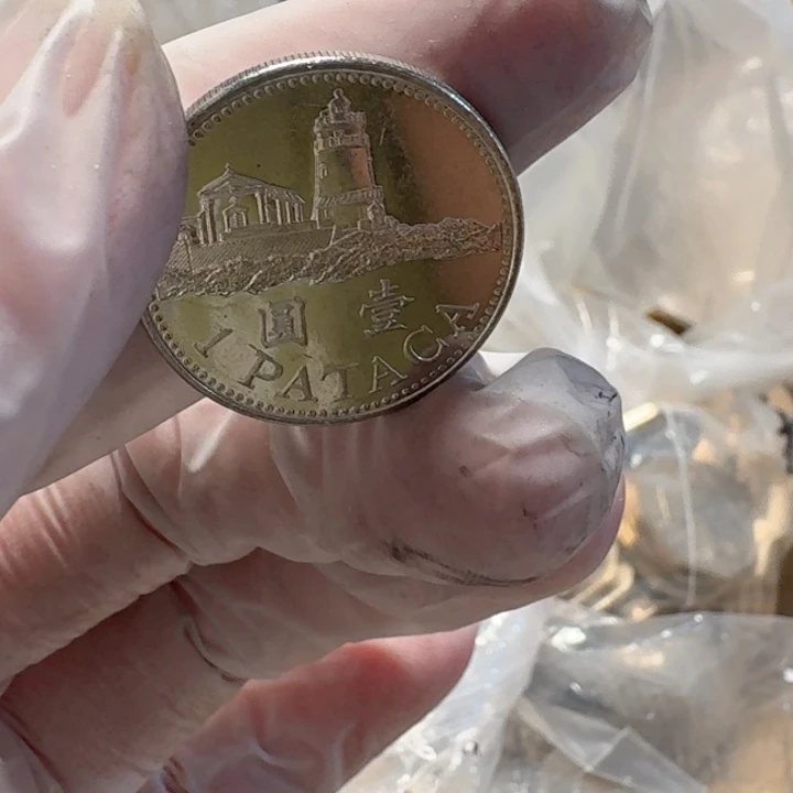 其他普通金属灯塔币