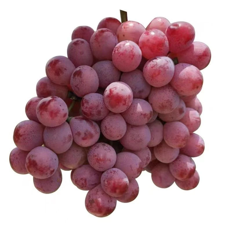 新鲜大红提子一箱（5斤左右）