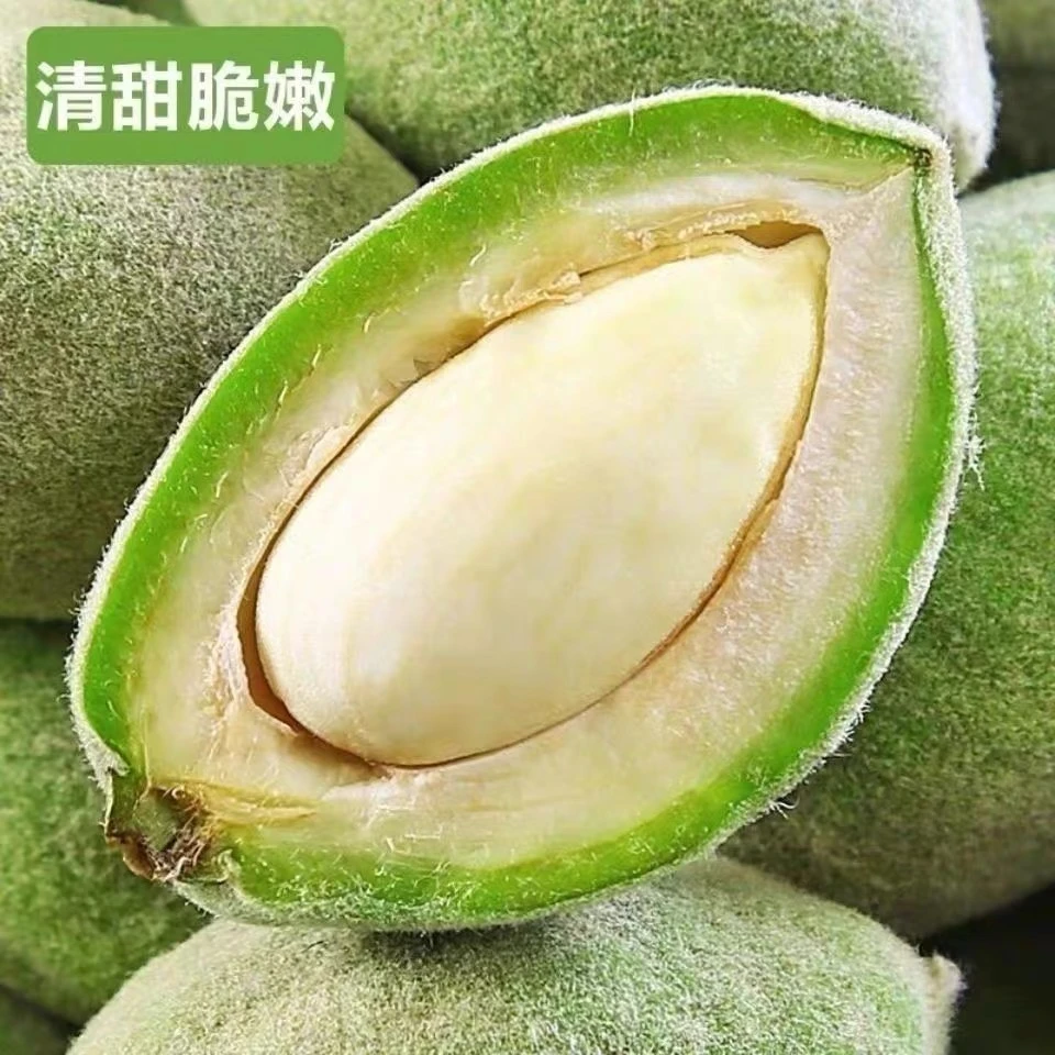 新鲜巴旦木现摘现发带绿壳1-5斤包邮包售后