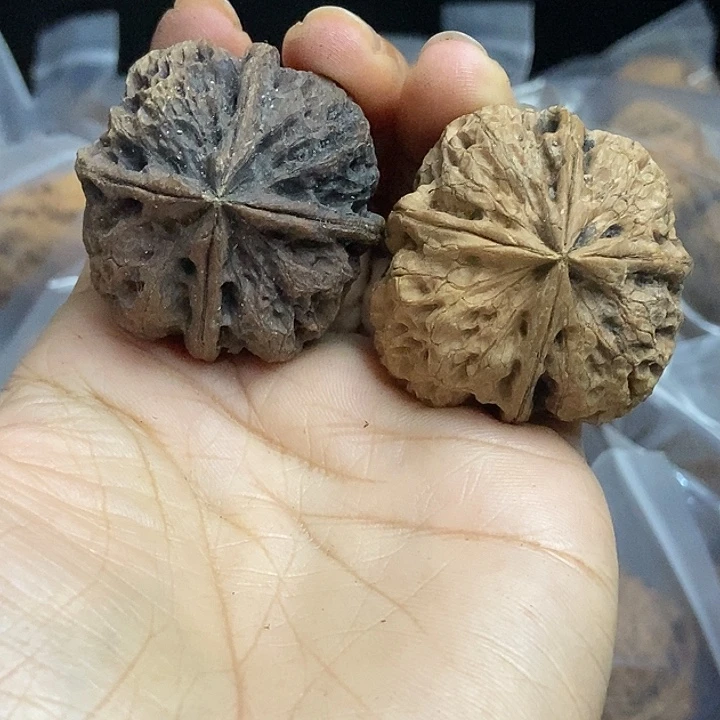 把件文玩核桃云南铁核桃基地71