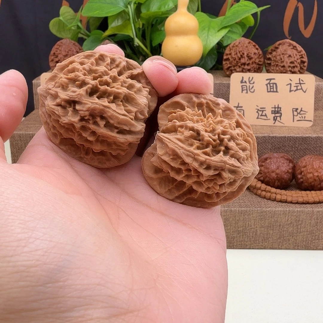 全品盘龙纹43/38/44