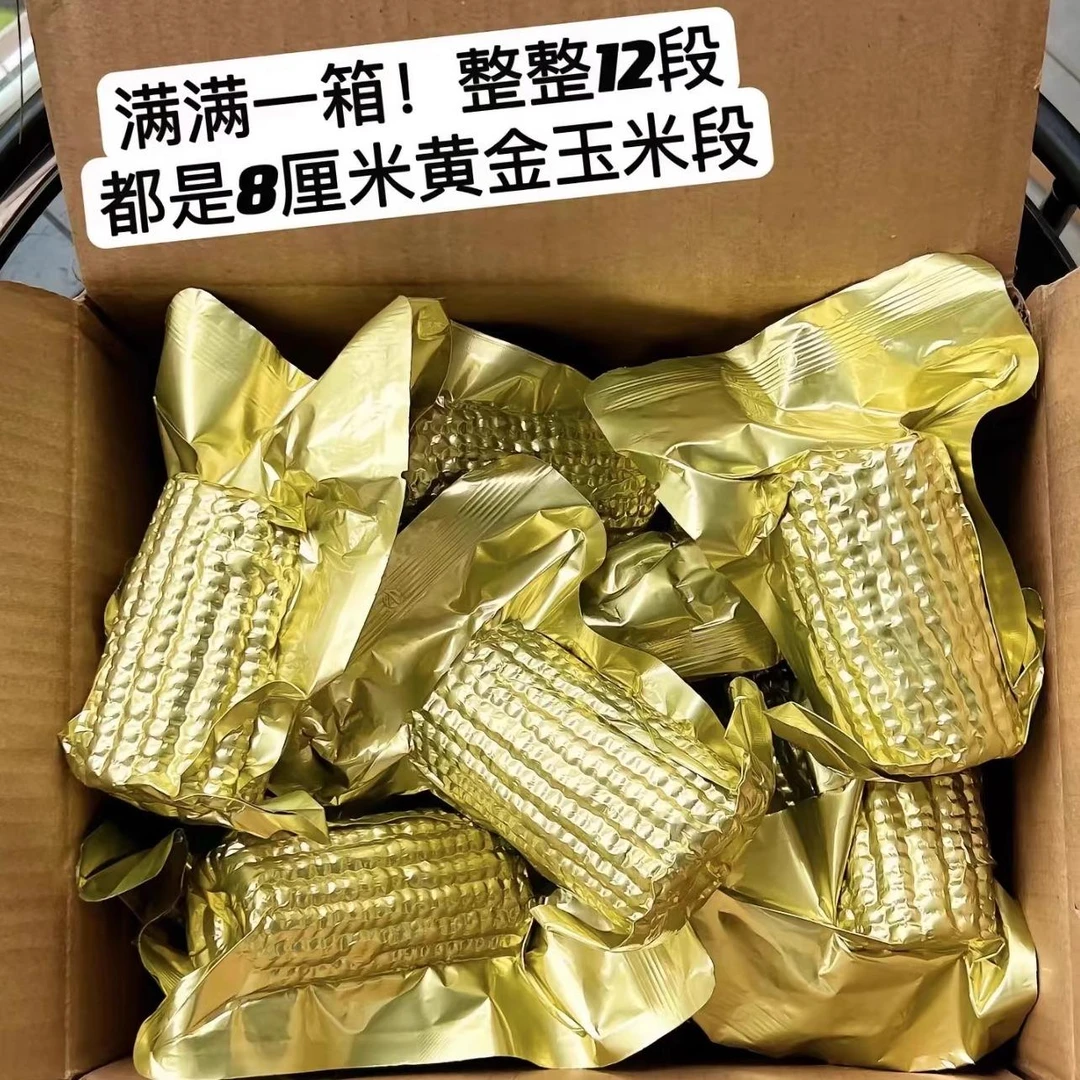 十月稻田黄金玉米段小黄糯玉米香甜糯东北黏苞米真空