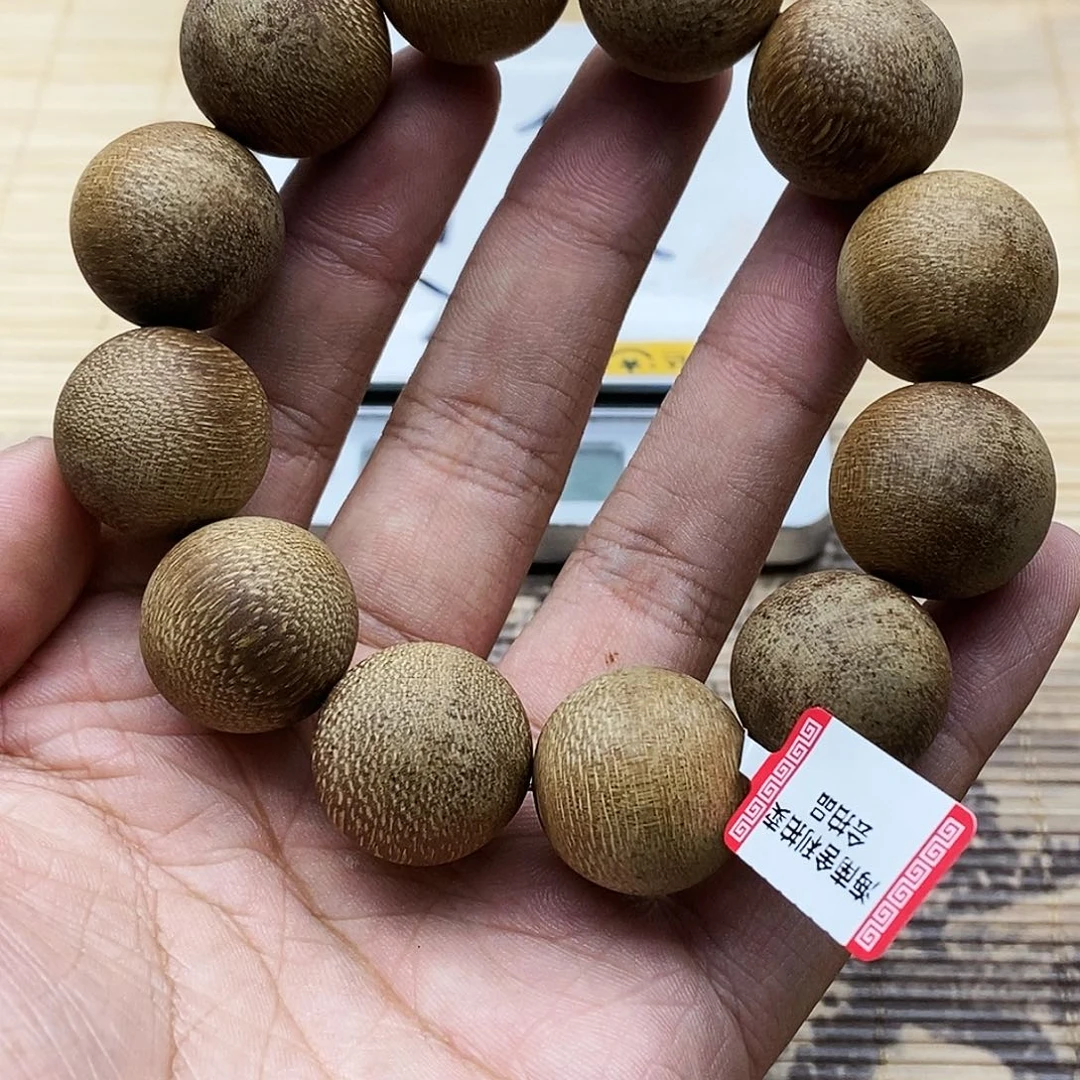 沉香沉香碎屑知毛双尖