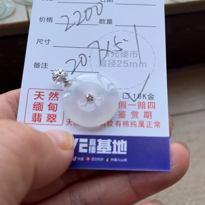 M***焱翡翠未镶嵌颈饰天然