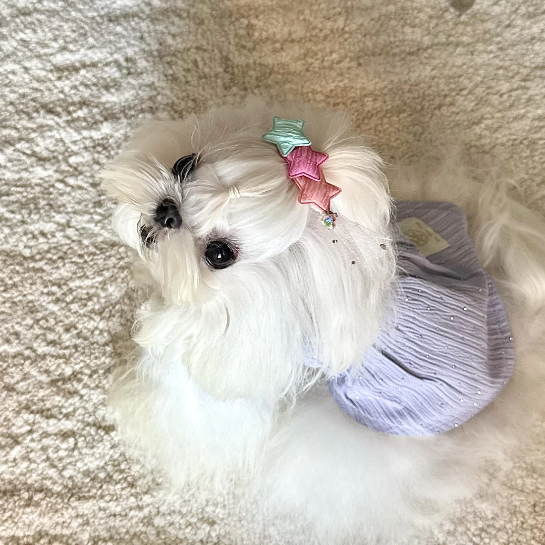 Un Tou Tou狗狗衣服春夏比中小型犬宠物蝴蝶结薄款小裙子UT251001