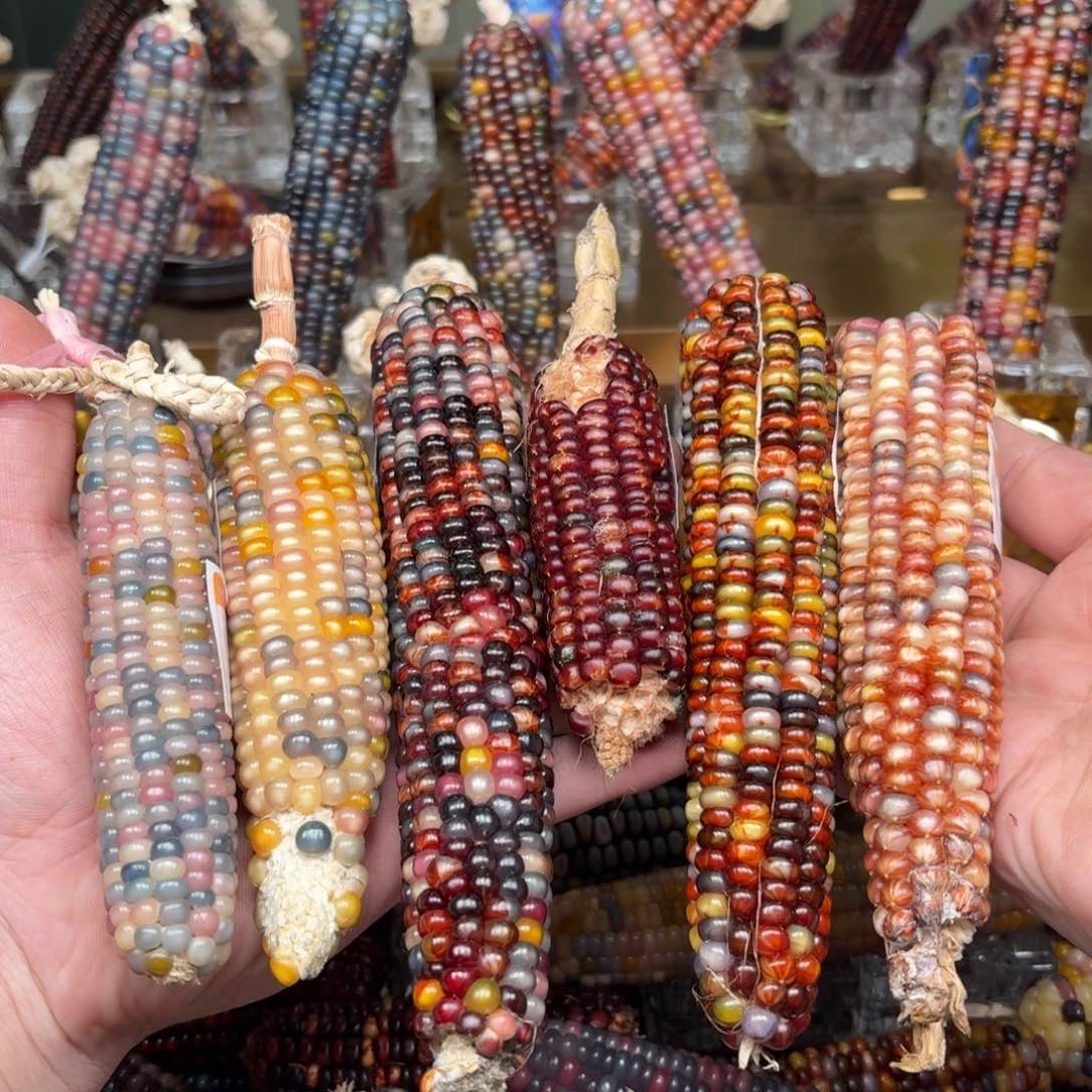 柏香籽/百香籽吊坠一*。