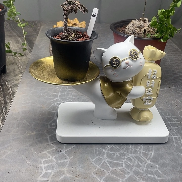 换新棚开播5折冲呀