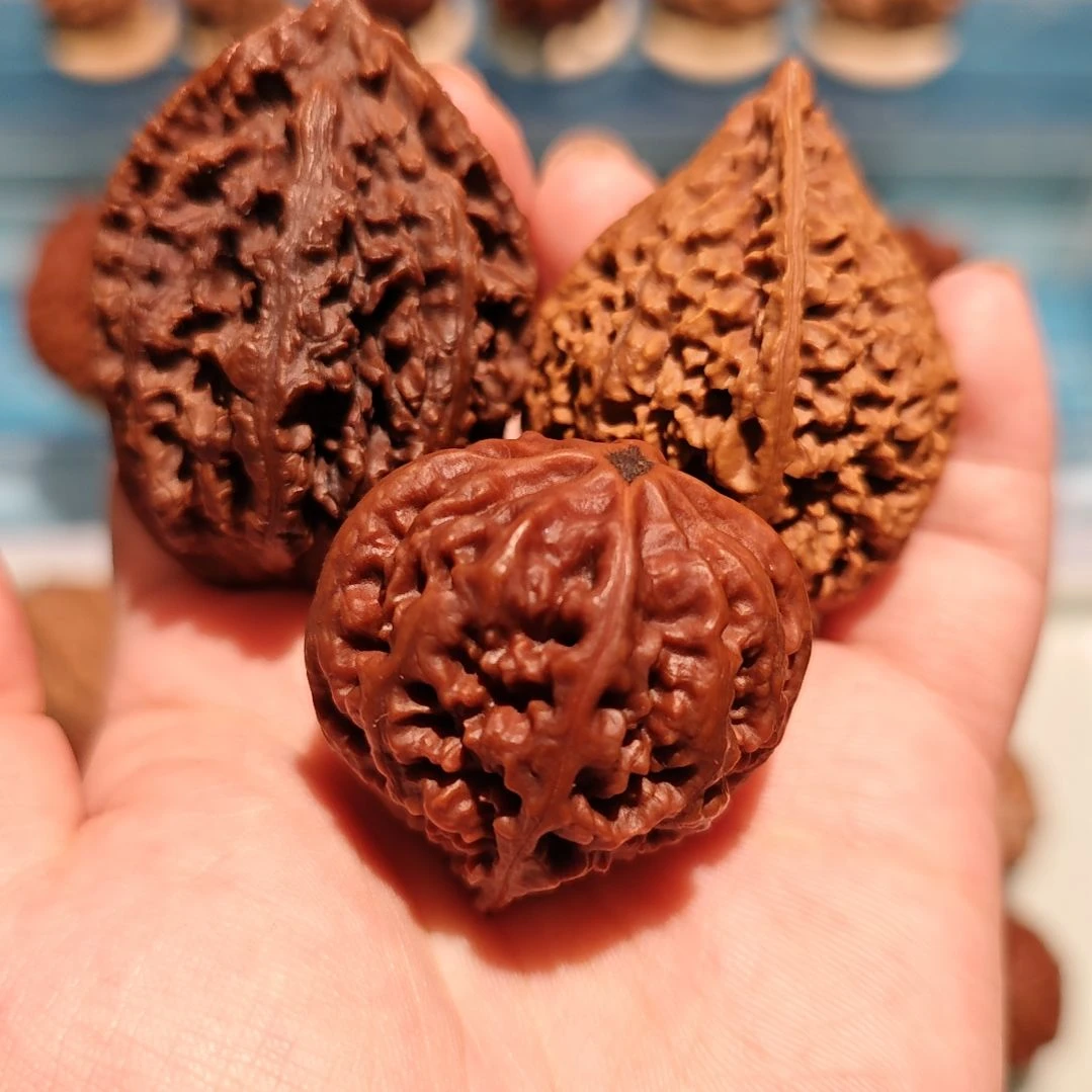 文玩核桃吊坠东北野生秋子一棵树一个品种一棵树一个走色