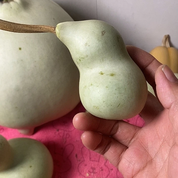 林***鹿青皮葫芦手把件葫芦