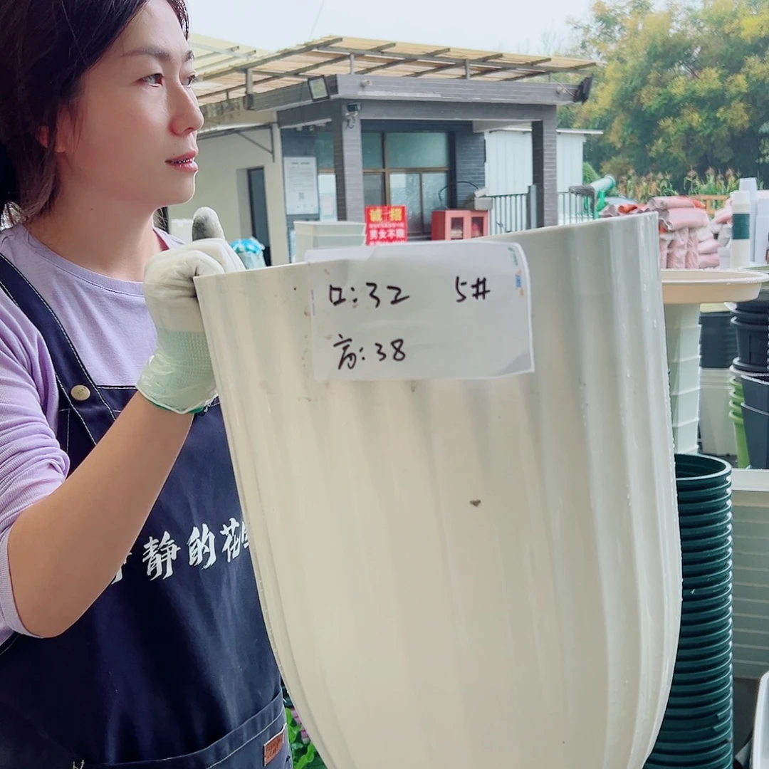 瑕疵竖纹5#白色4个无托