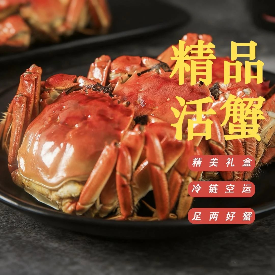 【活蟹】蟹乡人家鲜活大闸蟹母蟹3.7-3.5两8只