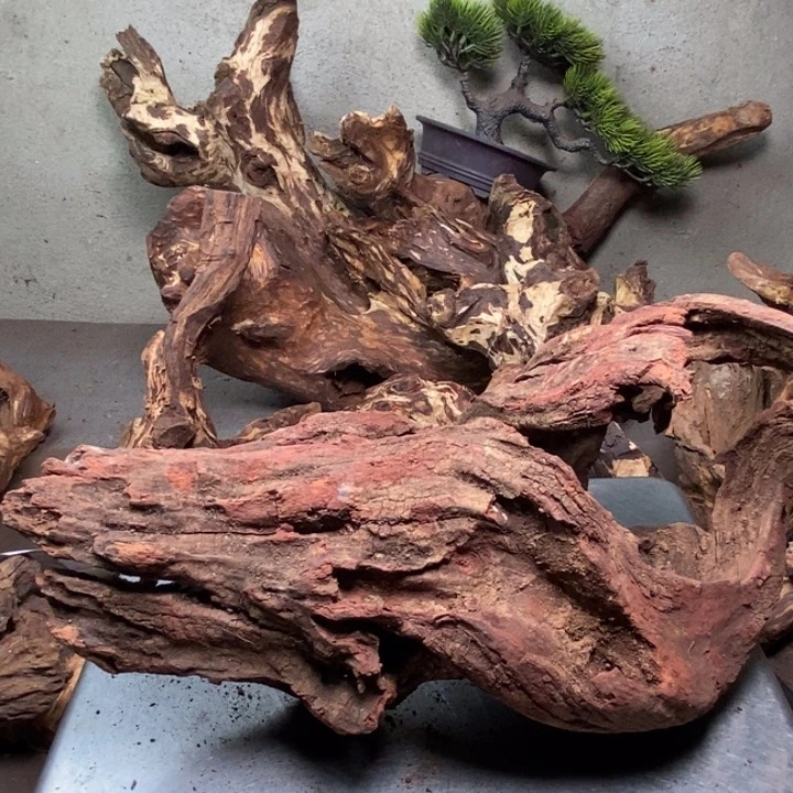 黄花梨/降香黄檀黄****7