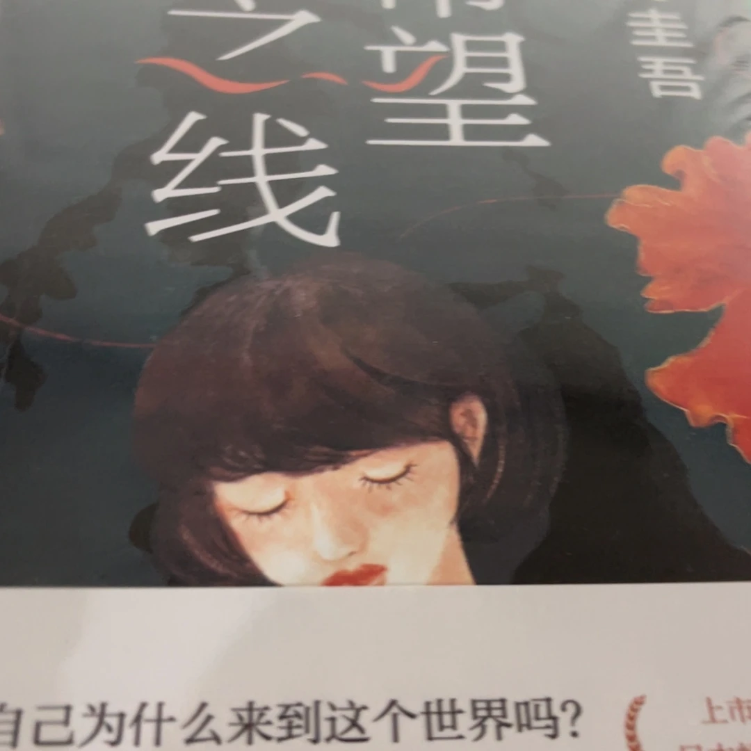 希望之线精装一个