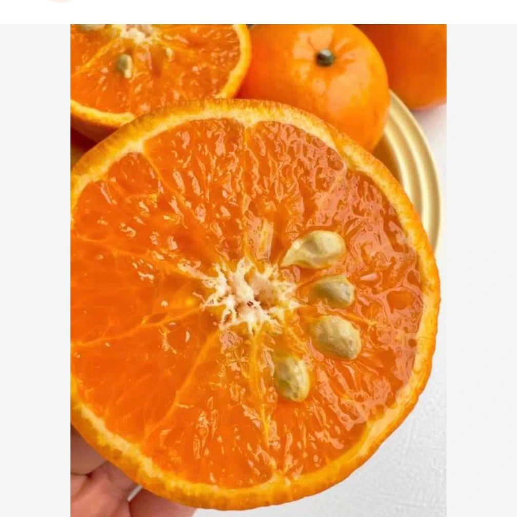 广西武鸣沃柑中小果10斤