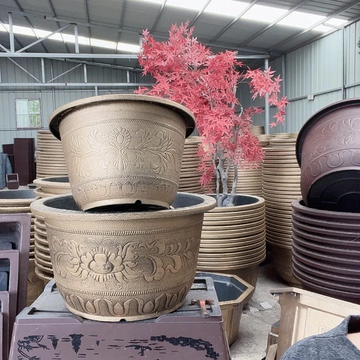 圆120两个有孔金色的