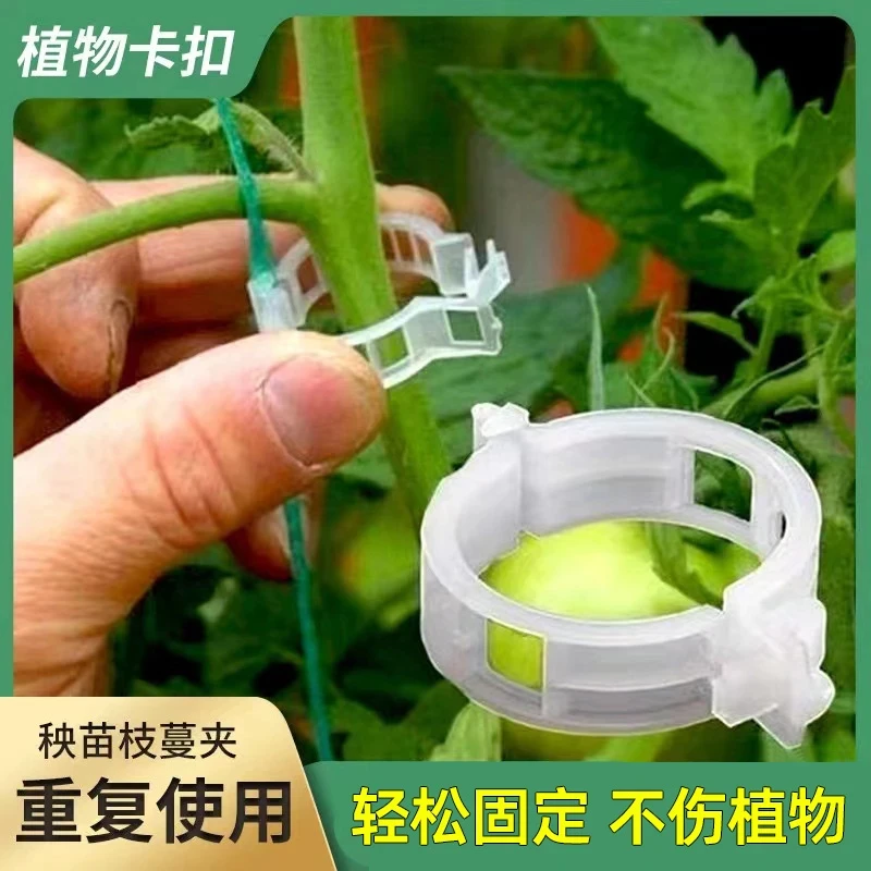 绿植果树植物固定夹卡扣藤蔓固定器秧苗爬藤支撑杆果蔬秧苗吊秧夹