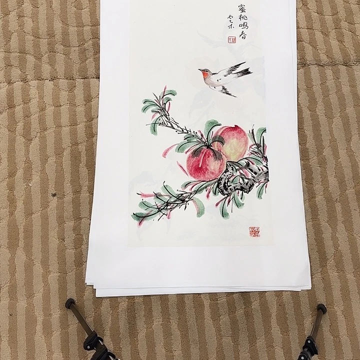 国画花鸟的翅膀是一种非常