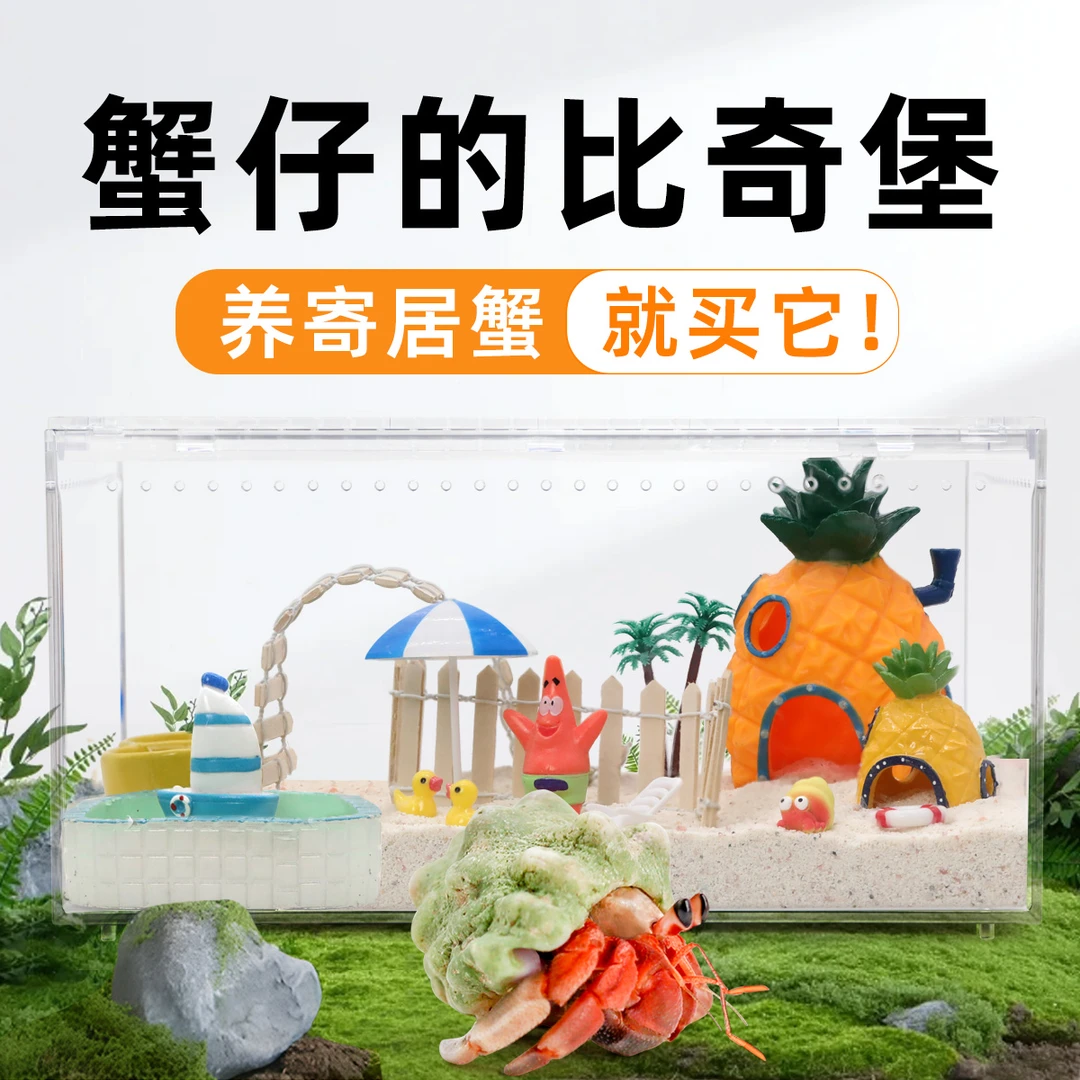 寄居蟹饲养箱及用品套装桌面宠物礼物