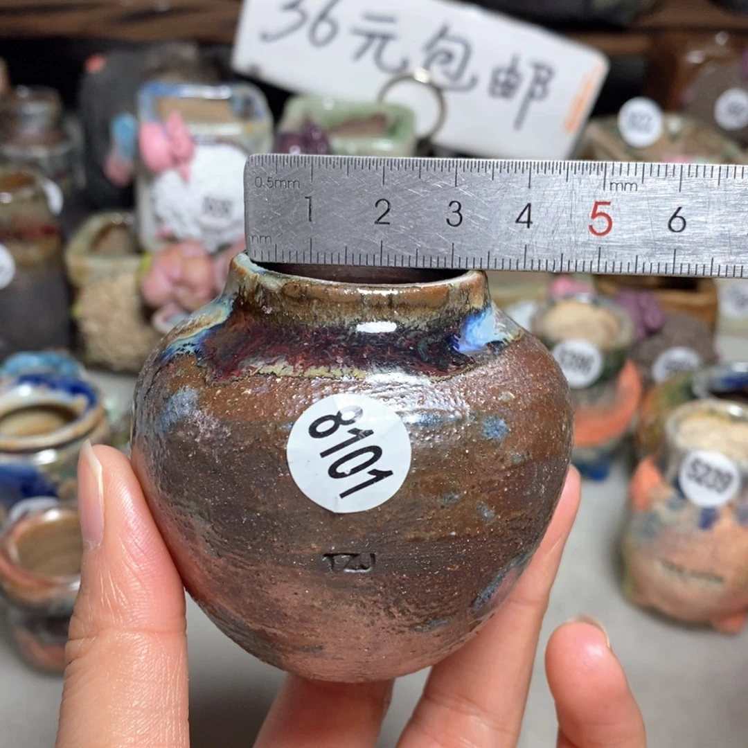 拍5送一个小礼物