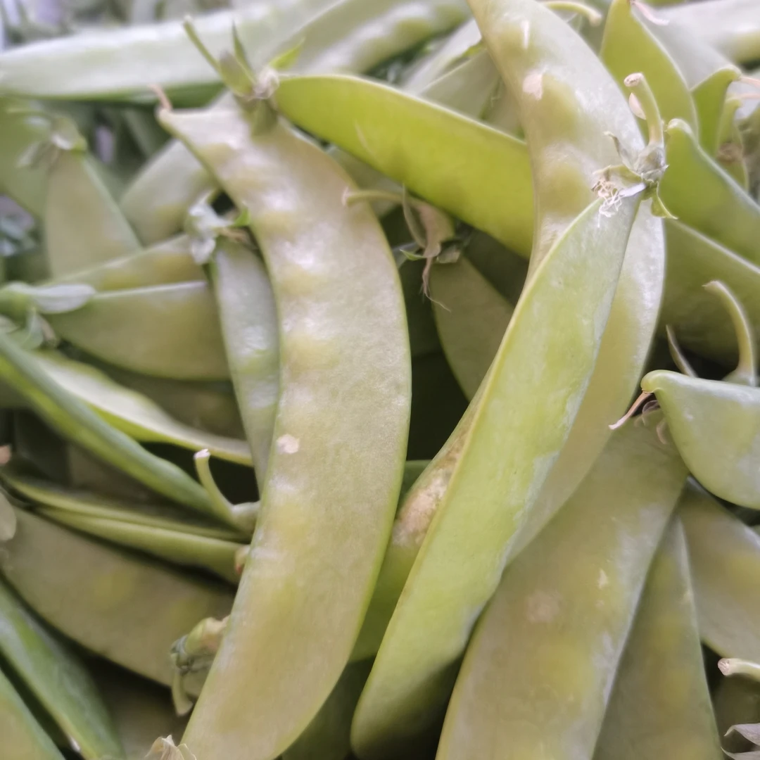 肉豌豆 豌豆250克