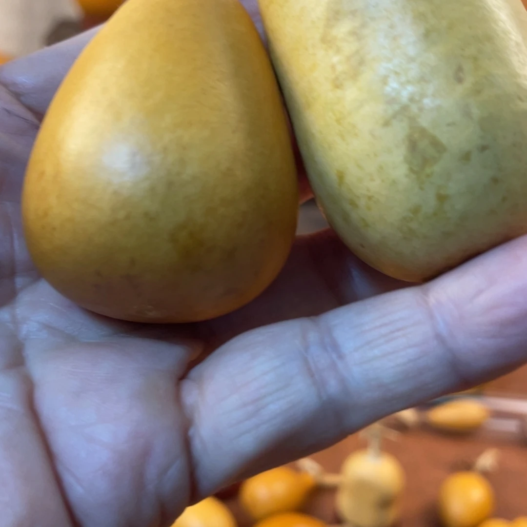 加***铃葫芦哈哈哈哈哈哈哈哈