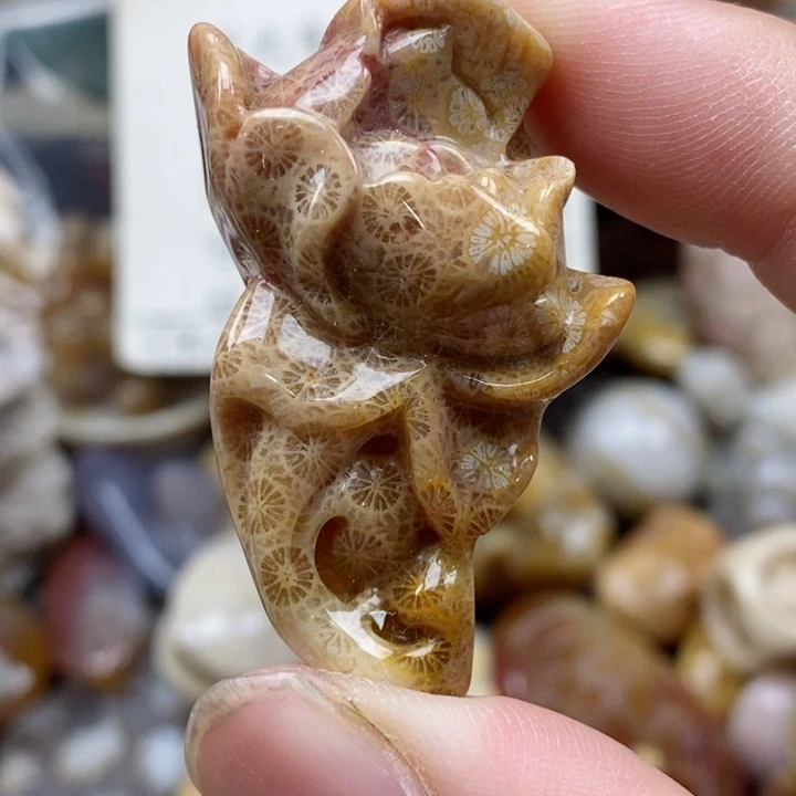 硅化珊瑚（珊瑚玉）未镶嵌颈饰