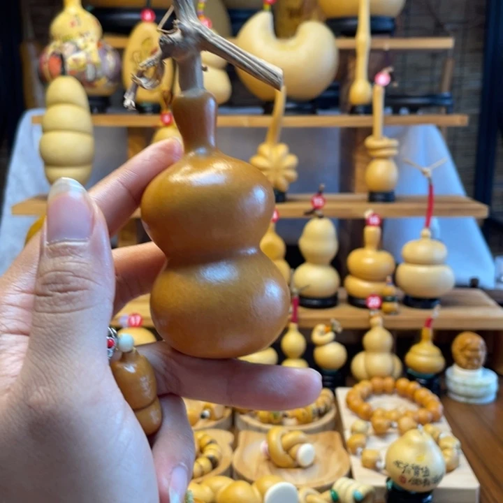 嘴***扬天然葫芦自然生长