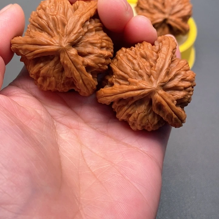 木质类随**缘核桃核桃