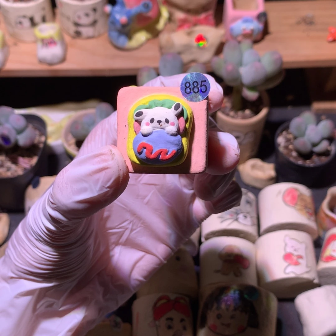 885花盆哈哈哈哈哈