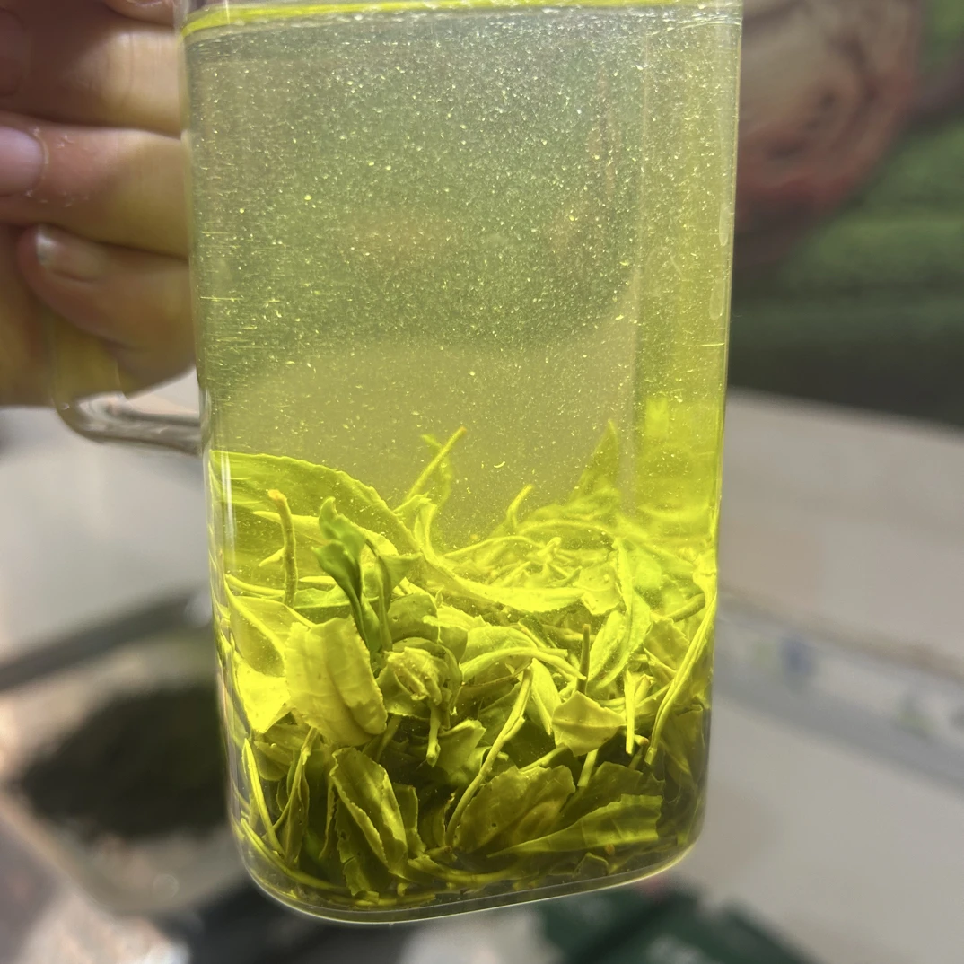口粮茶100信阳毛尖绿茶三秒回甘鲜爽耐泡新茶正宗