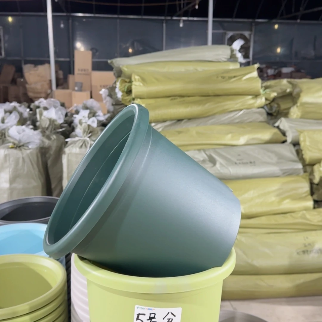 塑料四季5号军绿3个带拖