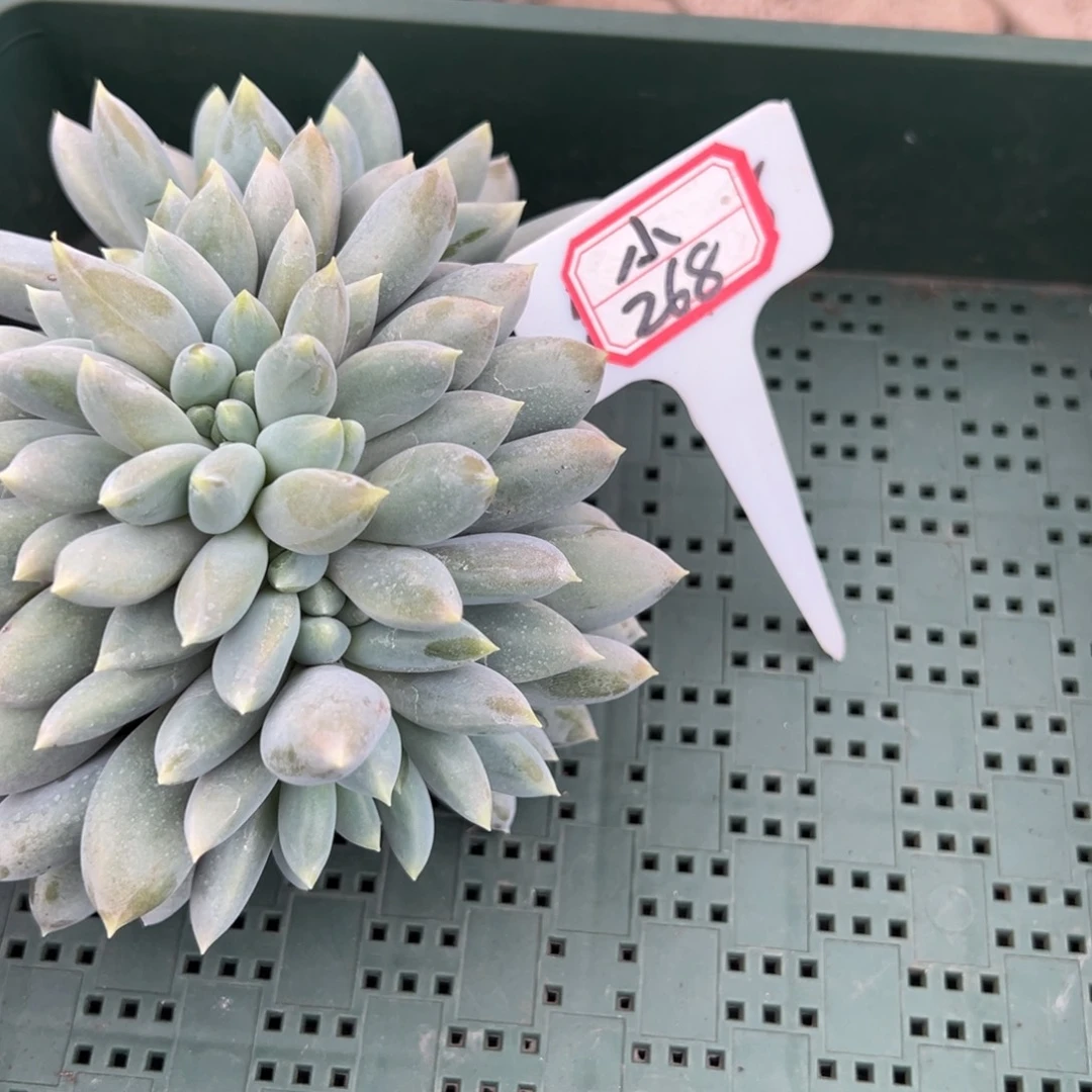 ****我不喜欢这样一段