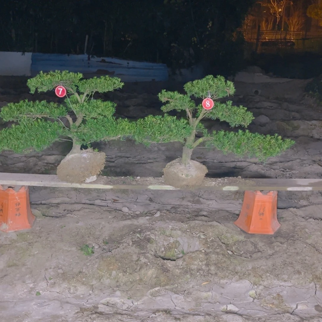 为**活1180118011802580