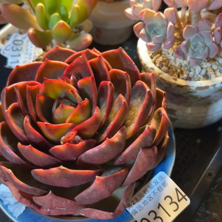 幸运的是我还没遇到