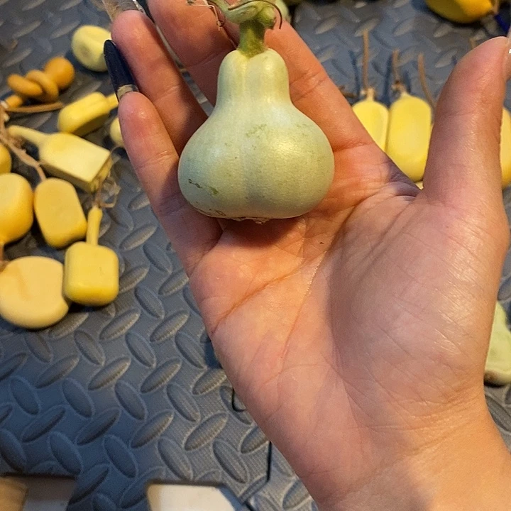 赵***丽葫芦鸡肉饼真的绝杀小王子