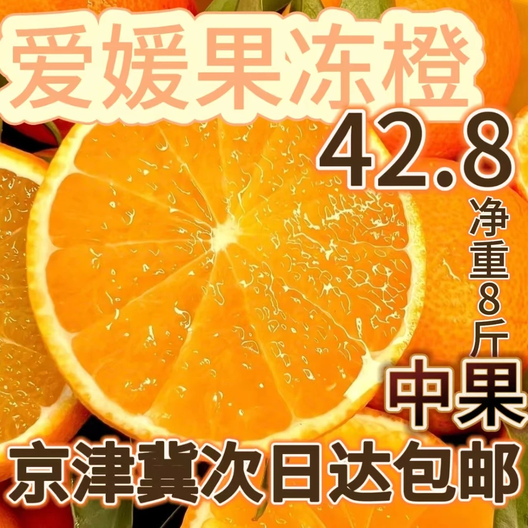 爱媛果冻橙中果8斤