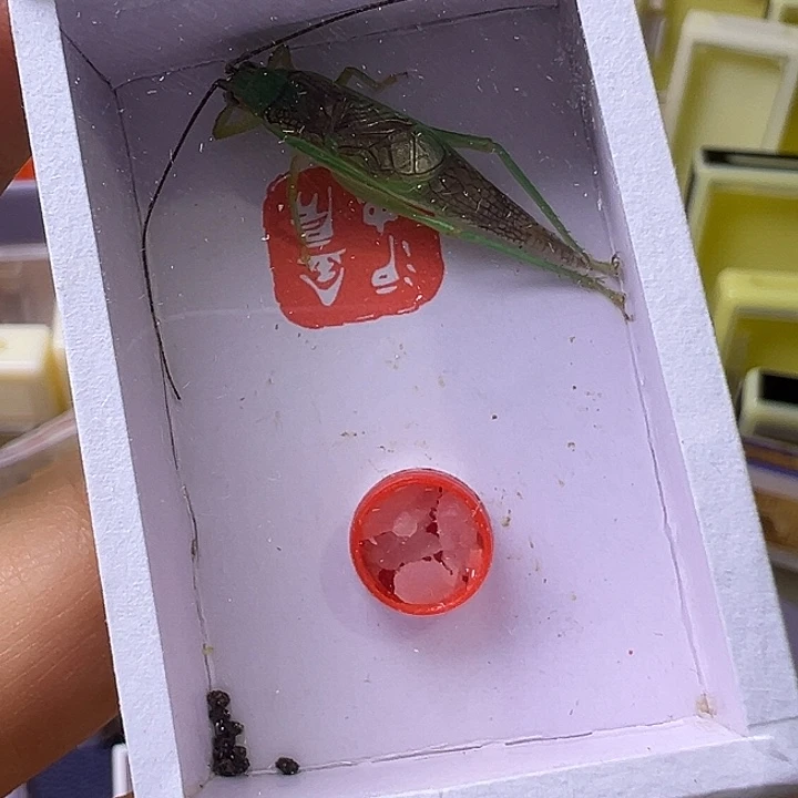 中***华哈哈哈哈哈哈哈哈哈哈