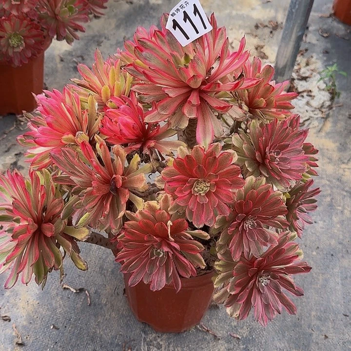 00000000000111000000