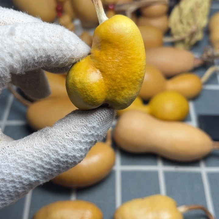 老***芦666666666666666666