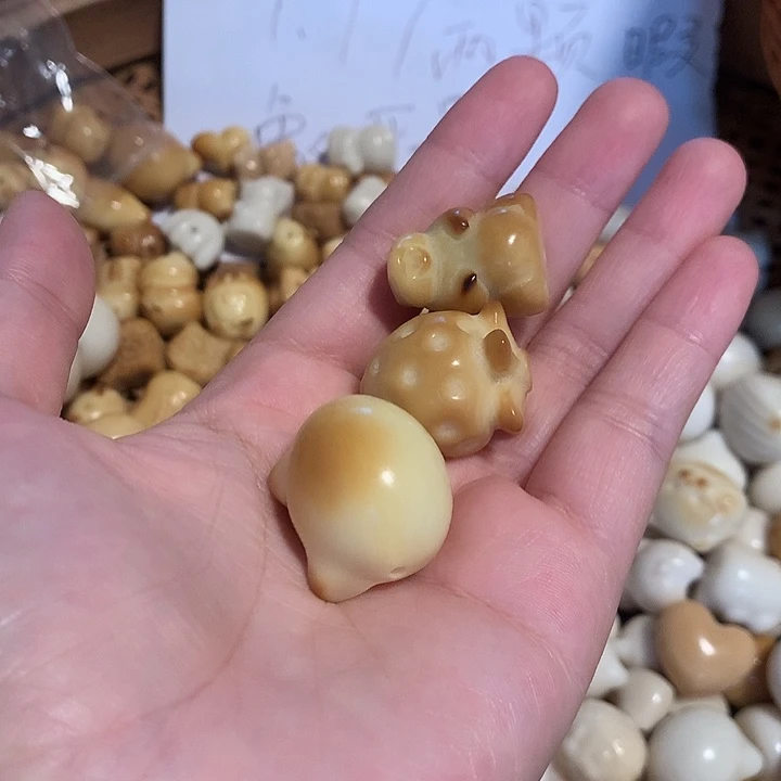 娜****菩提根/象牙果手串象牙果3颗瑕疵