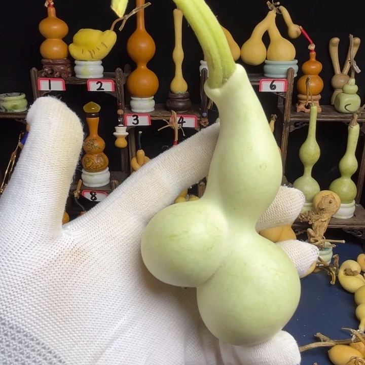双胞胎怀抱子葫芦