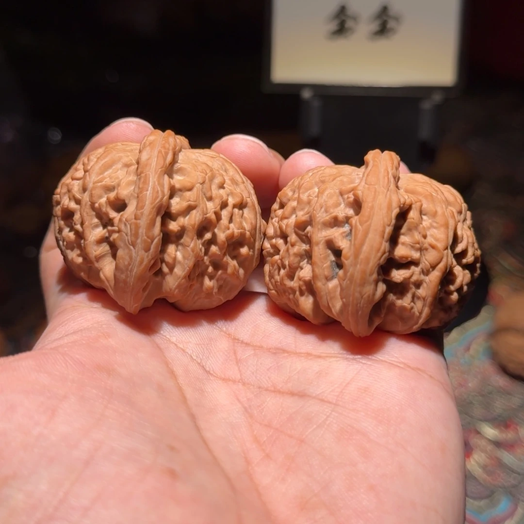 把件核桃1457粗筋闷白，尺寸49