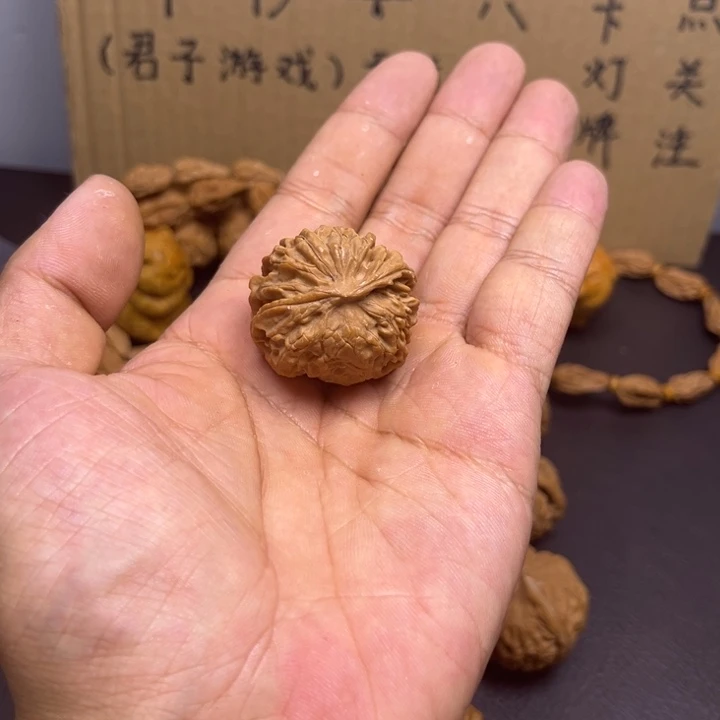 熬***狗菩提籽类苹果园小蛇
