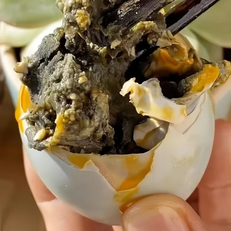 东北正宗臭鸭蛋臭咸鸭蛋黑色蛋黄腌制变蛋自制臭咸鸭蛋重口味咸蛋